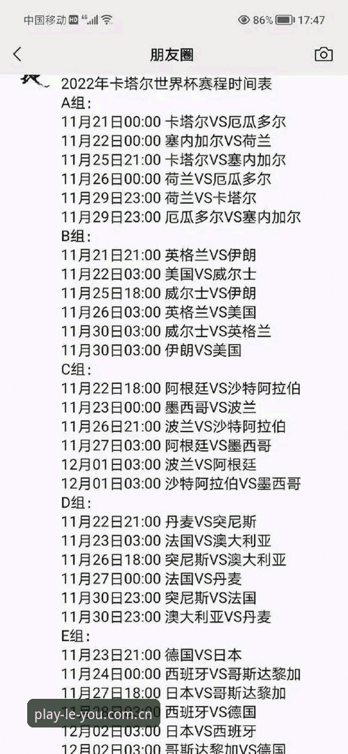 乐游体育免费下载 资深球迷亲历:签证困局下的世界杯观赛实录